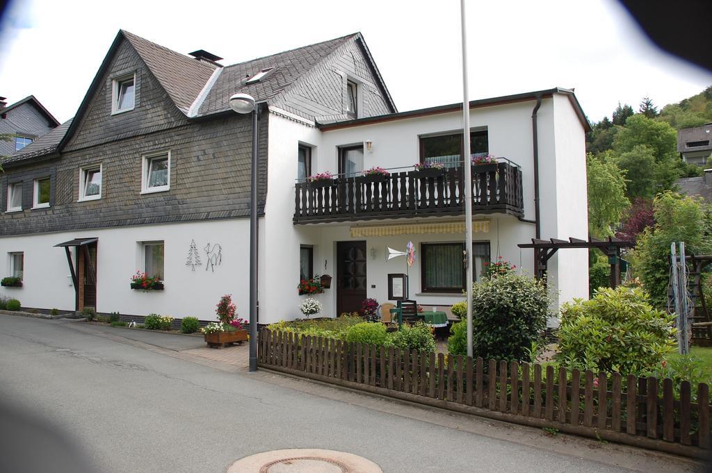 Ferienwohnung Klauke Winterberg Cameră foto